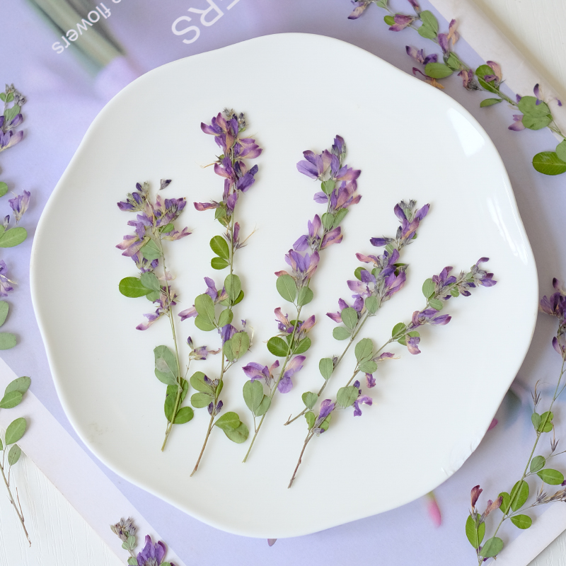6pcs,nature Lespedeza Formosa  - Resin Art Photo Frame recension och pris