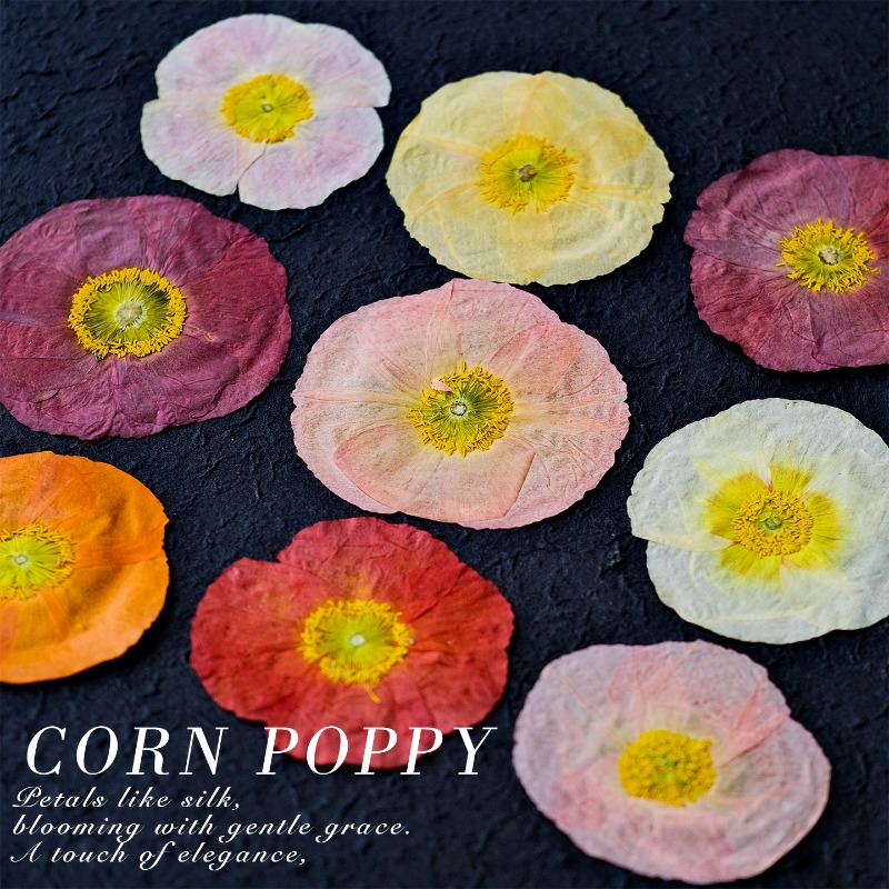 1pcs,Nature Field Poppy Presse - Resin Art Photo Frame recension och pris