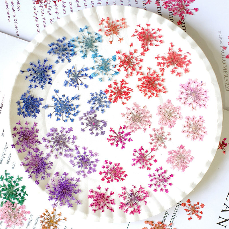 24pcs, 2-2.5cm, Nature Dyed Mi - Resin Art Photo Frame recension och pris