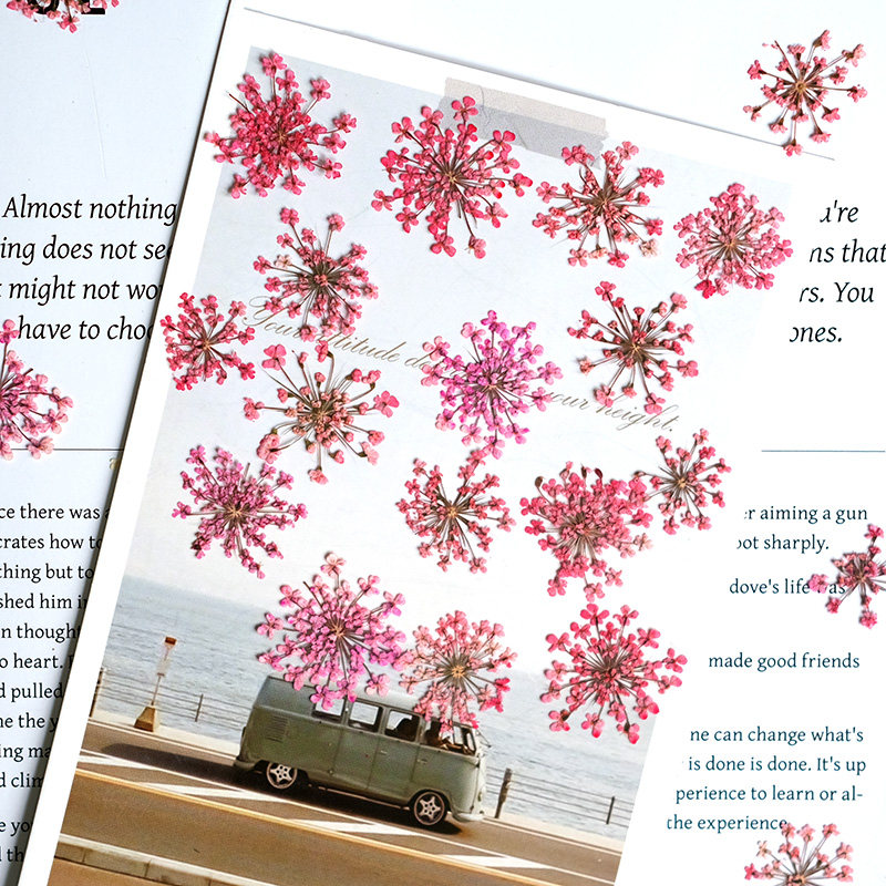 24pcs, 2-2.5cm, Nature Dyed Mi - Resin Art Photo Frame recension och pris