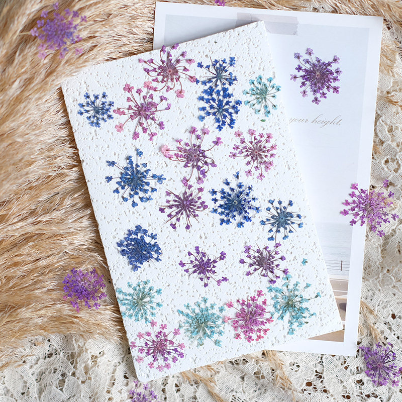24pcs, 2-2.5cm, Nature Dyed Mi - Resin Art Photo Frame recension och pris